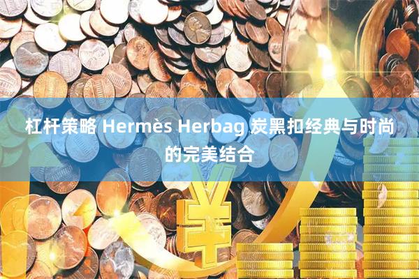 杠杆策略 Hermès Herbag 炭黑扣经典与时尚的完美结合