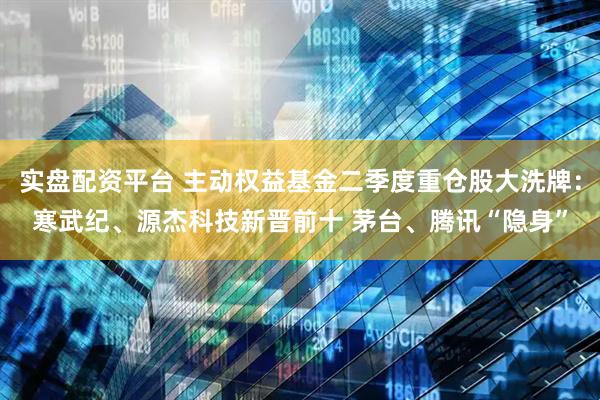 实盘配资平台 主动权益基金二季度重仓股大洗牌:寒武纪、源杰科技新晋前十 茅台、腾讯“隐身”